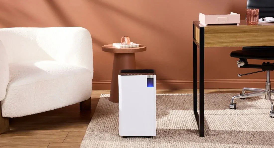 Ausclimate Compact 12L Smart Dehumidifier - White | Wifi | For Areas up to 20m2